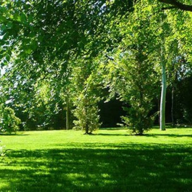 jardinería berrocal en valladolid