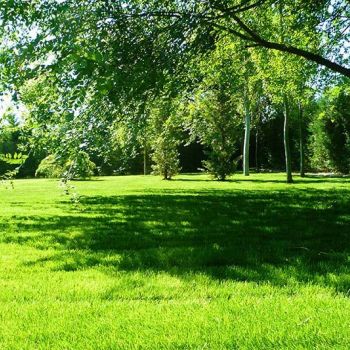 Jardinería Berrocal