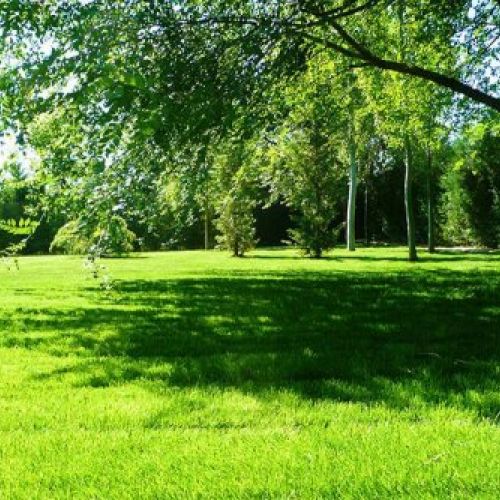 Jardinería Berrocal