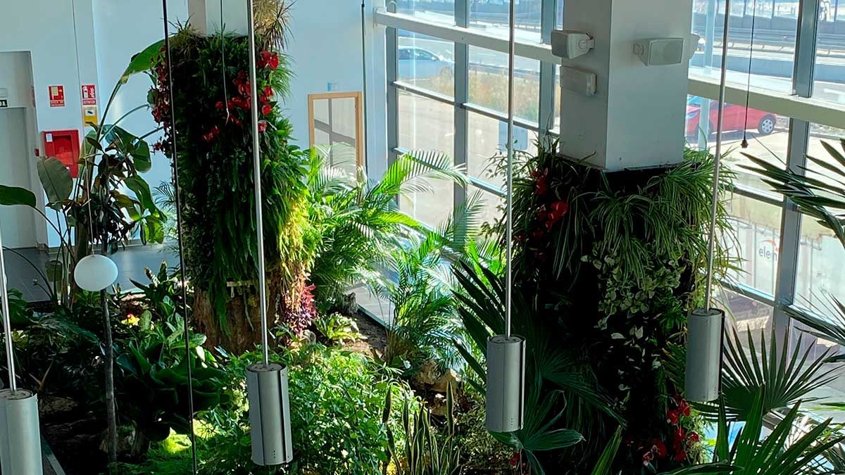 Mantenimiento de jardines verticales