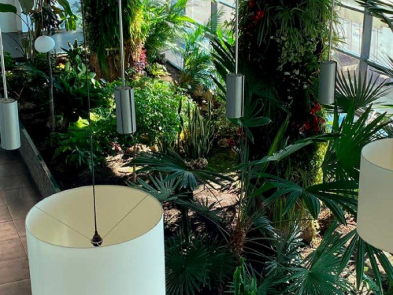 Jardín vertical en interior
