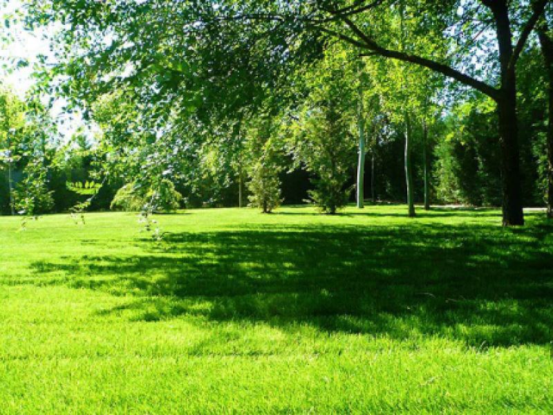 Paisajismo para jardín comunitario