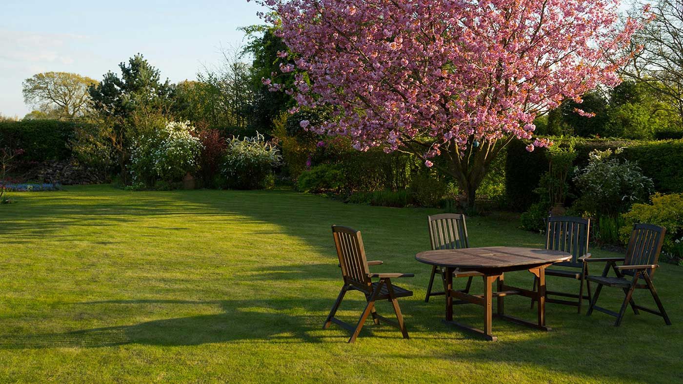 Empresa de jardinería en Valladolid