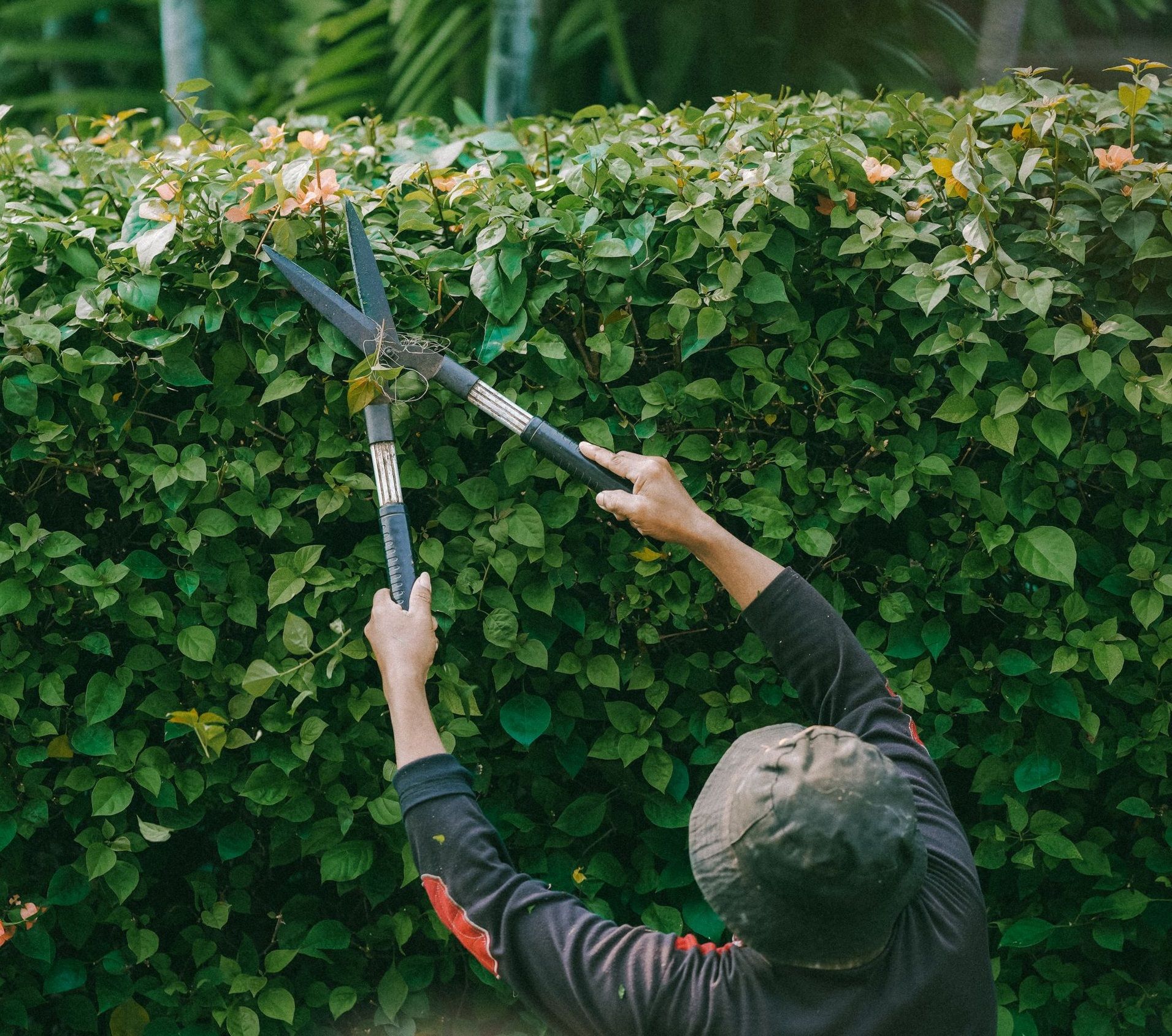 Mantenimiento de Jardines en Simancas