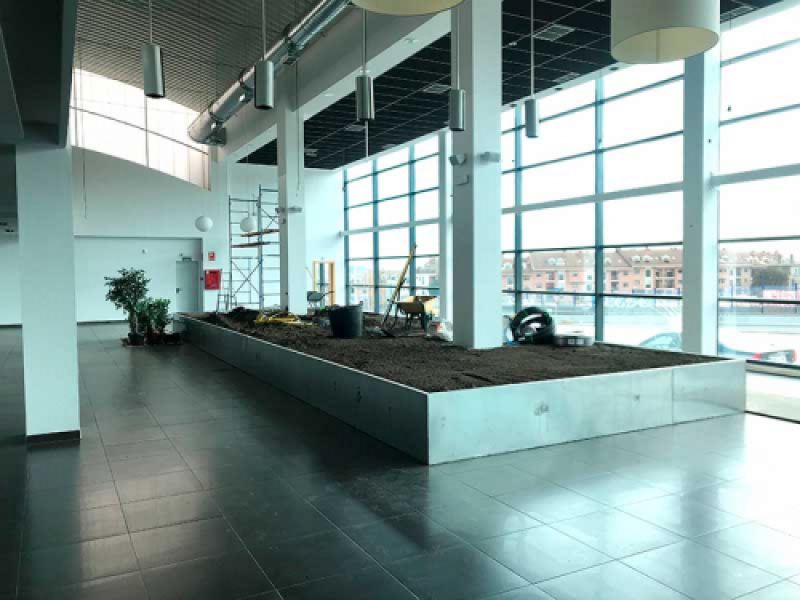 Montaje de jardín vertical