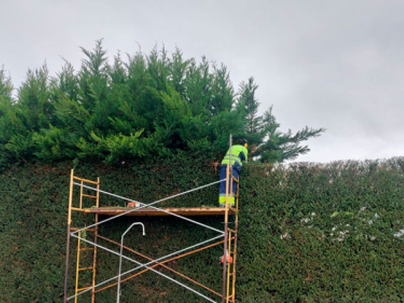 Trabajo para ayuntamientos