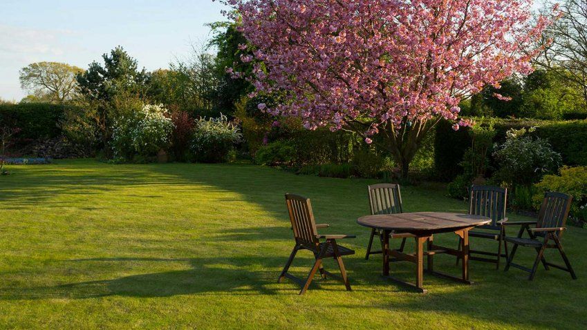 Empresa de jardinería en Valladolid