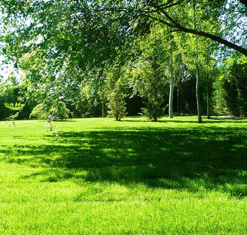 Paisajismo para jardín comunitario