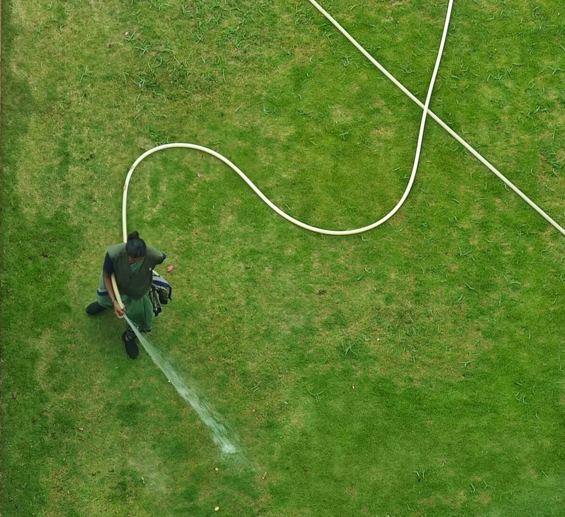 Mantenimiento de Jardines en Boecillo
