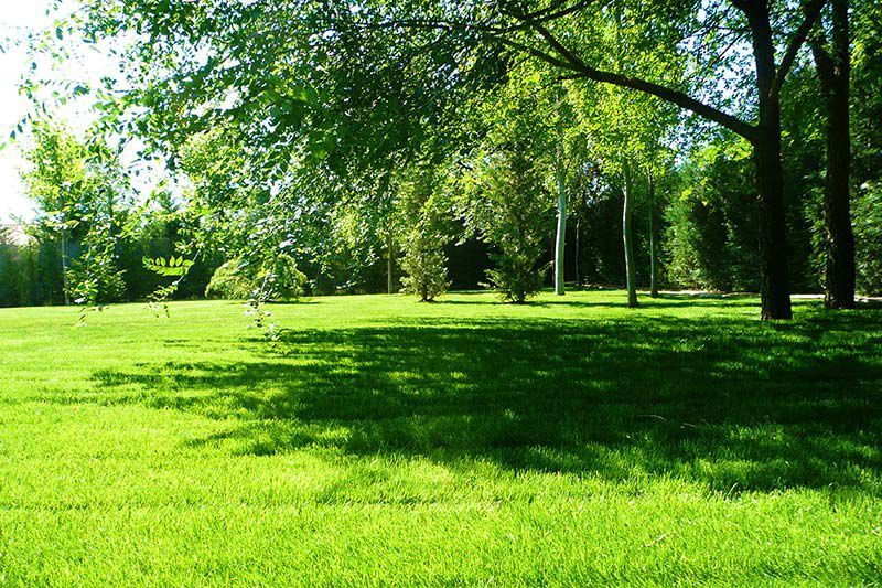 Paisajismo para jardín comunitario