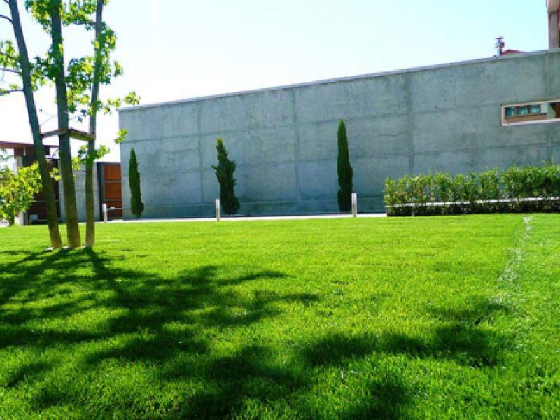 Instalación de césped en parque público