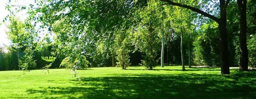 Empresa de jardinería en Valladolid